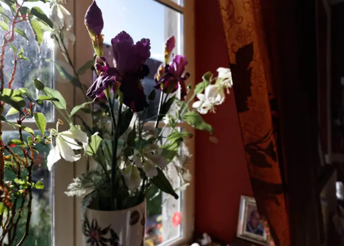 Le Manoir De Magneville 3* Fresville