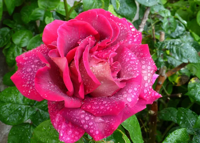 Le Manoir De Magneville Fresville